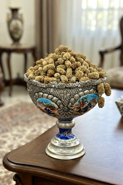 ماهورمس-زنجان3